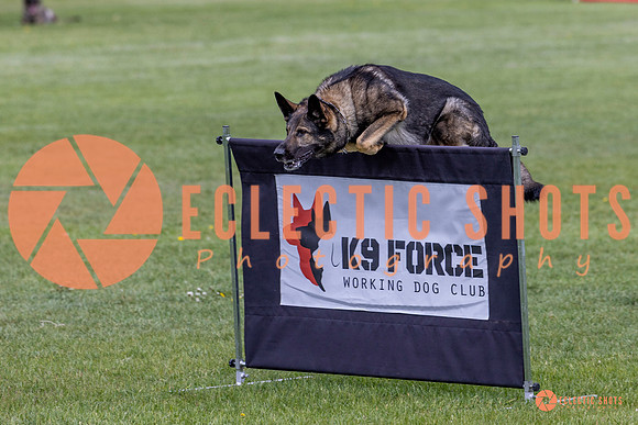 2025-K9Force-MayExams-5824
