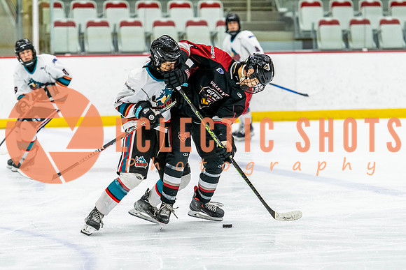 2022.11.12OkRockets-VWGiants-5023