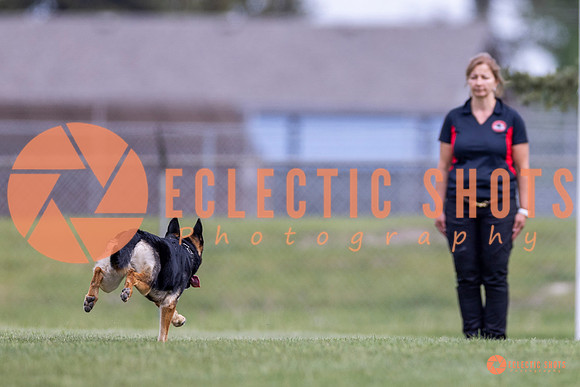 2025-K9Force-MayExams-7021