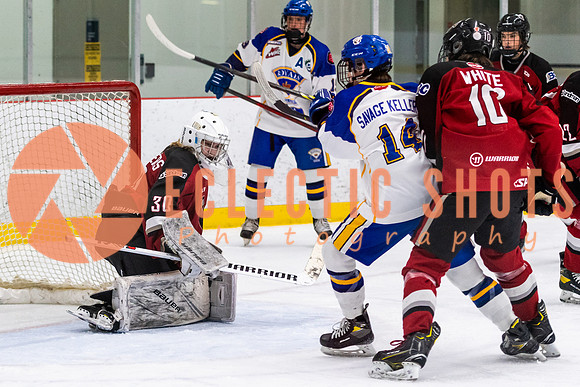 RMC2021-11-13-CalRoyals-VWGiants-7460