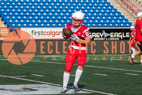 CalgaryColts-2340