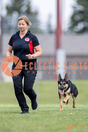 2025-K9Force-MayExams-7042