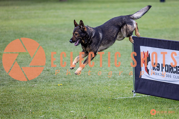 2025-K9Force-MayExams-5588