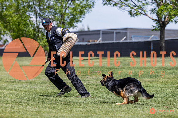 2025-K9Force-MayExams-7219