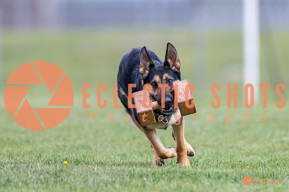 2025-K9Force-MayExams-7065
