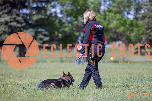 2025-K9Force-MayExams-Kaia-7551
