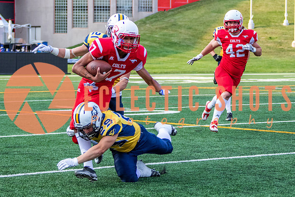 CalgaryColts-2530