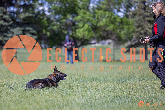 2025-K9Force-MayExams-Kaia-7548
