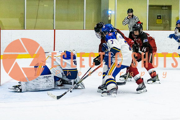 RMC2021-11-13-CalRoyals-VWGiants-4772
