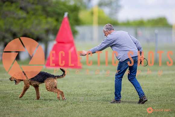 2025-K9Force-MayExams-8598