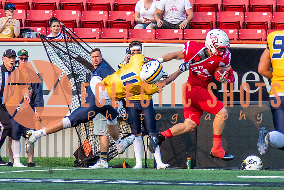 CalgaryColts-2657
