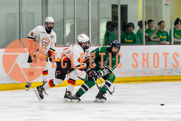 2022.11.09CalFlames-FVTBirds-0458