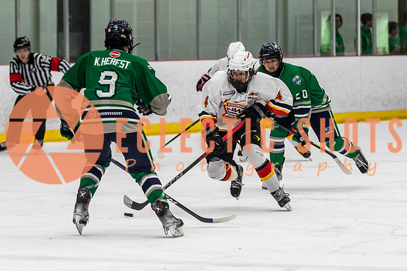 2022.11.09CalFlames-FVTBirds-0383
