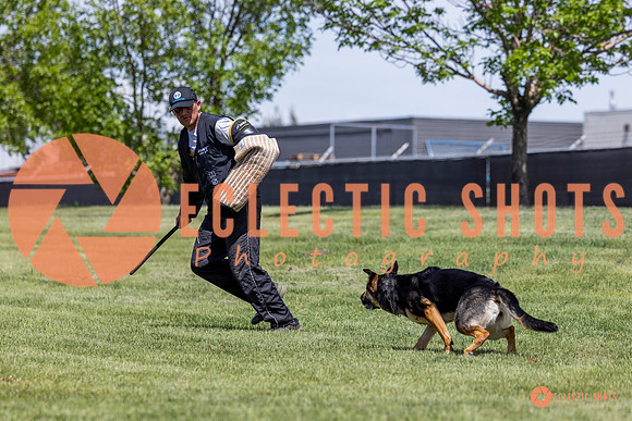 2025-K9Force-MayExams-7218
