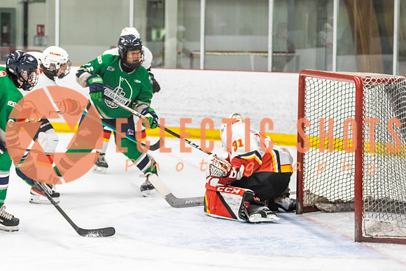 2022.11.09CalFlames-FVTBirds-0266