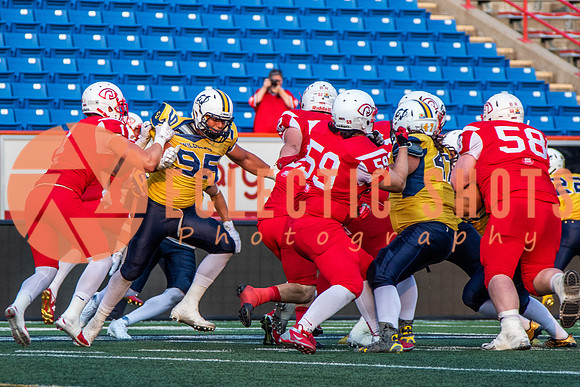 CalgaryColts-2631