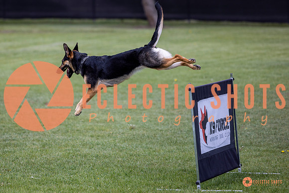 2025-K9Force-MayExams-6158