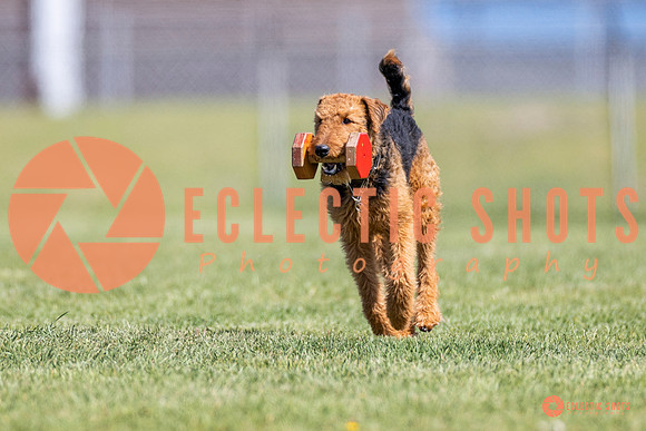 2025-K9Force-MayExams-8351