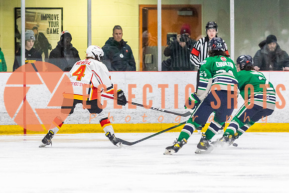 2022.11.09CalFlames-FVTBirds-0468