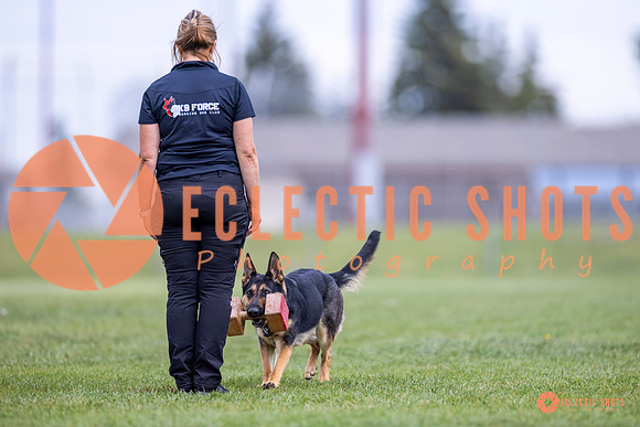 2025-K9Force-MayExams-7104