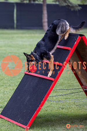 2025-K9Force-MayExams-6254