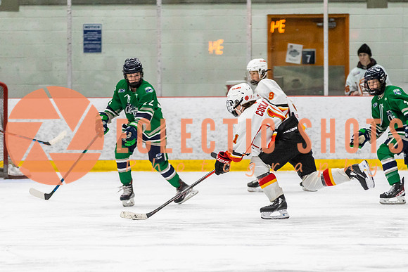 2022.11.09CalFlames-FVTBirds-0484