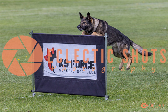 2025-K9Force-MayExams-5821