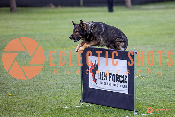 2025-K9Force-MayExams-5583