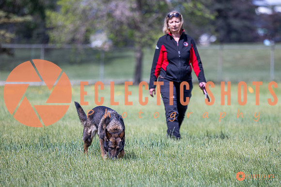 2025-K9Force-MayExams-Kaia-7482
