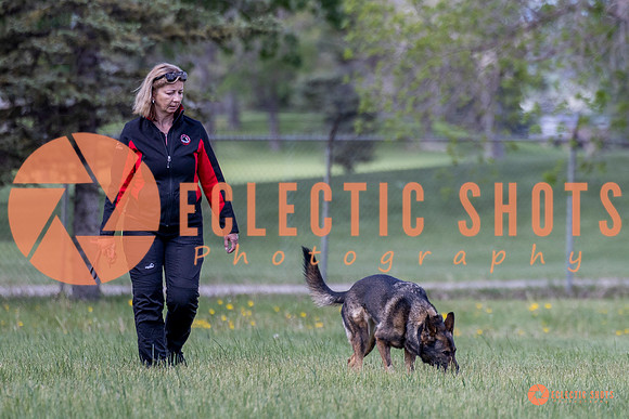 2025-K9Force-MayExams-Kaia-7471