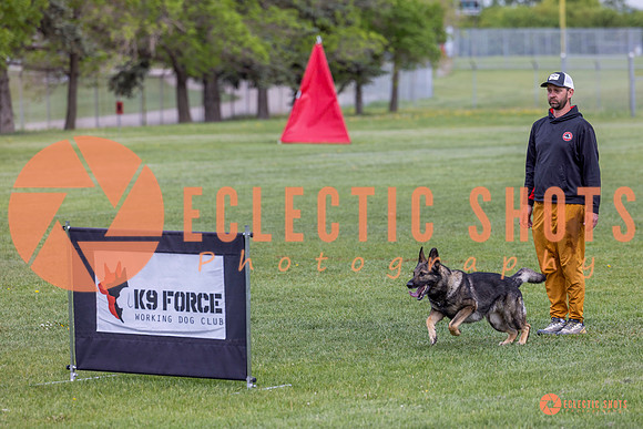 2025-K9Force-MayExams-5812