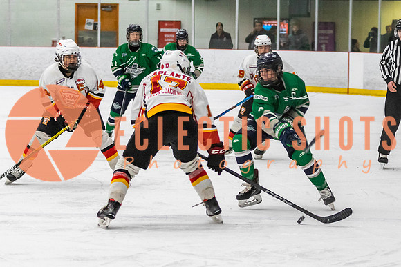2022.11.09CalFlames-FVTBirds-0534