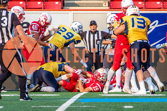CalgaryColts-2548