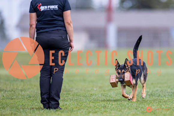2025-K9Force-MayExams-7090