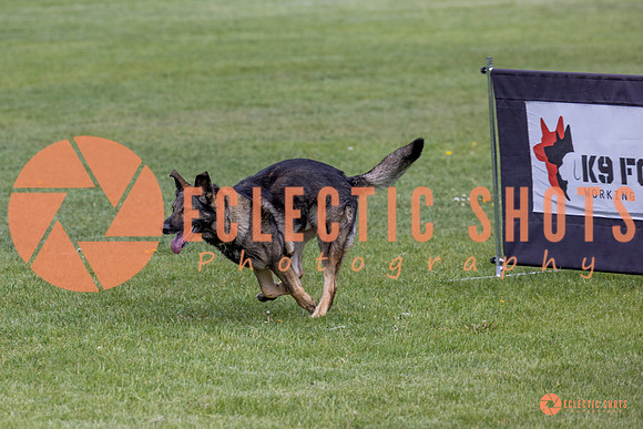 2025-K9Force-MayExams-5833