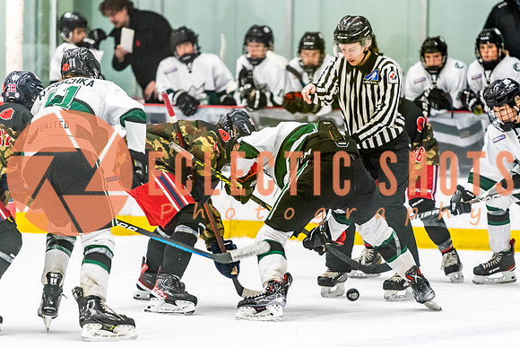 2022.11.11ShPkFlyers-VWGiants-3300