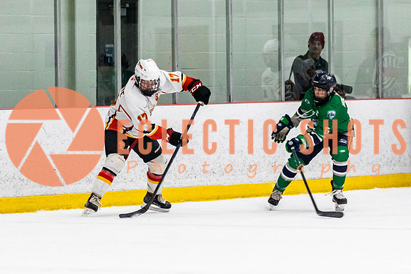 2022.11.09CalFlames-FVTBirds-0326