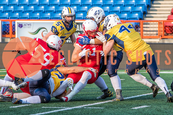 CalgaryColts-2498