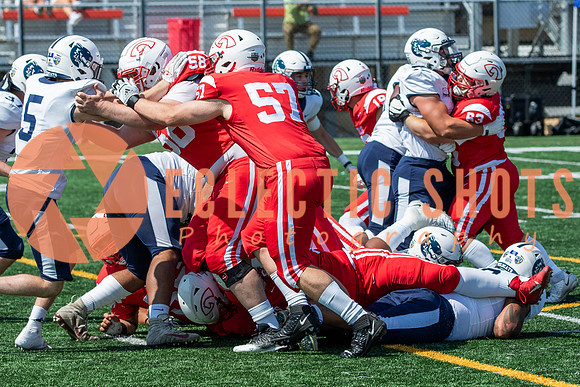 2024.08.11Colts-Wildcats-4744