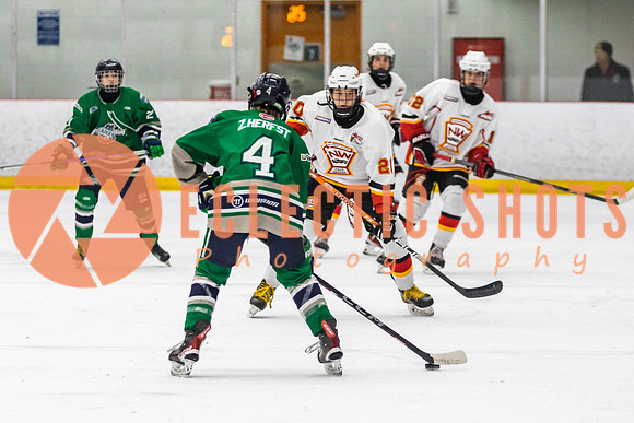 2022.11.09CalFlames-FVTBirds-0431