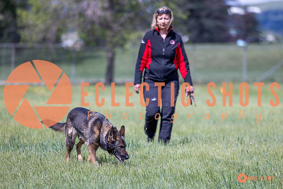2025-K9Force-MayExams-Kaia-7486