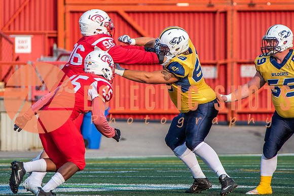 CalgaryColts-2443