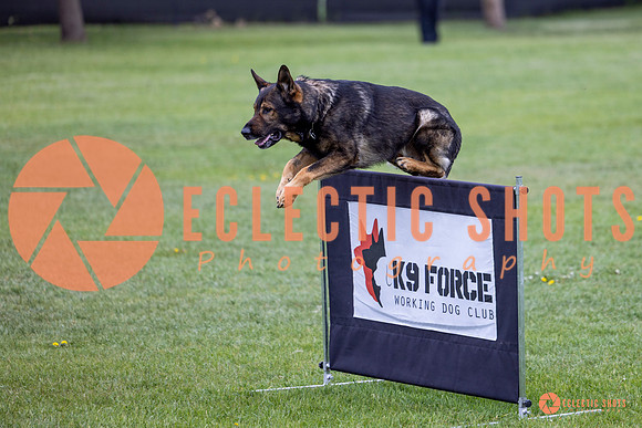 2025-K9Force-MayExams-5584