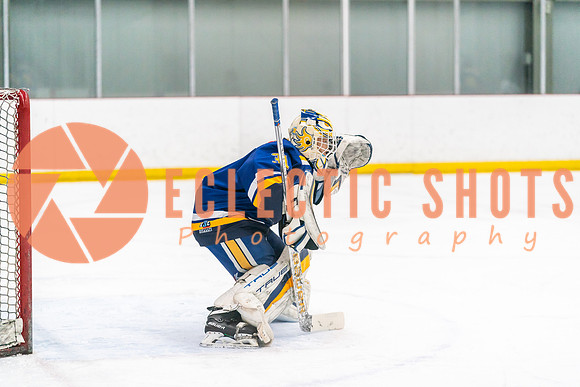 2023-11.08-RinkWPG-Royals-01531