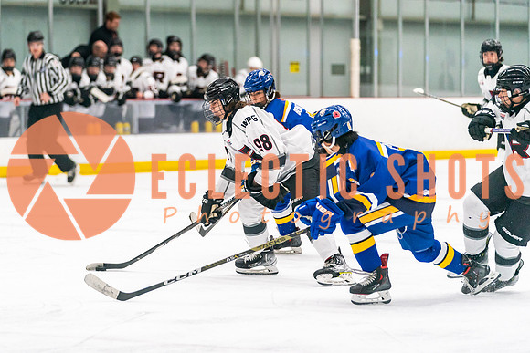 2023-11.08-RinkWPG-Royals-01552