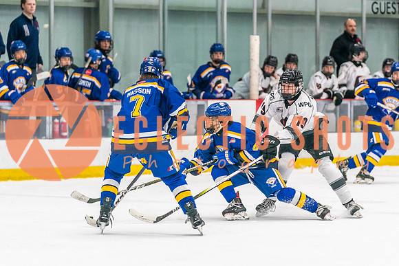 2023-11.08-RinkWPG-Royals-01695