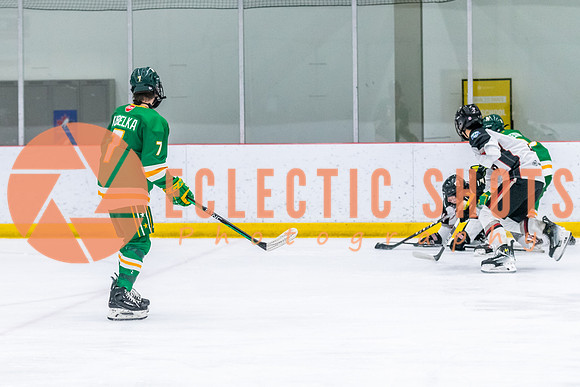 2023-11.08-VWGiants-Northstars-1623