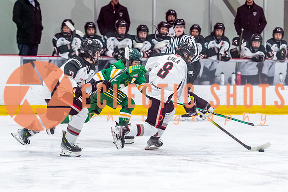 2023-11.08-VWGiants-Northstars-1684