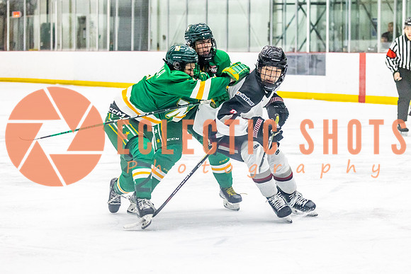 2023-11.08-VWGiants-Northstars-9177
