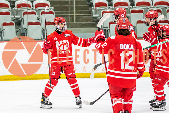 2023.11.08-VanNEChiefs-NDHounds-1766